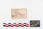Etikett zu Bronzegürtelblech (NHMW-PRAE-024632)